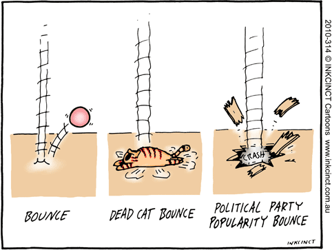 2010-314--political-party-dead-cat-bounce-