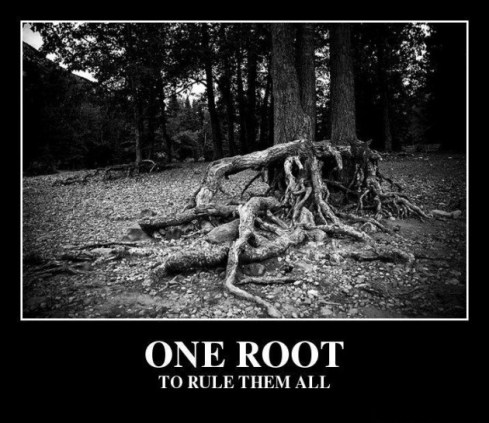 one-root-to-rule-them-all-fa41dc-e1341482332407
